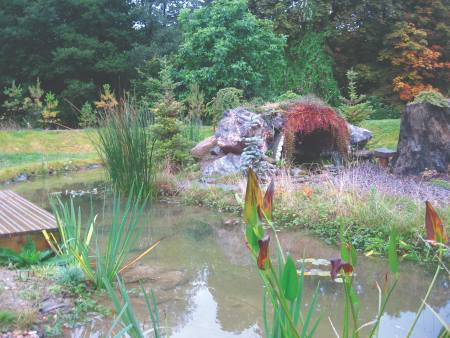 A pond with diverse eco habitats