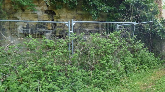 Boundary fencing in Springfield Quarry