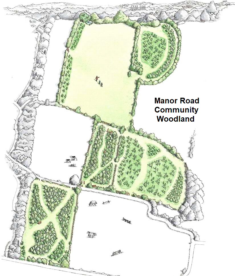 hand drawn image of Manor Road Community Woodland